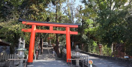 Heian Jingu - Kyoto's Weeping Cherry Trees Shrine