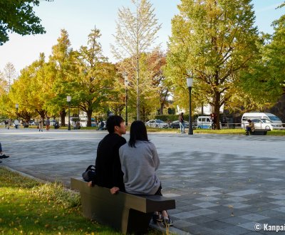 Marunouchi (Tokyo), Ginkgo trees alley between the station and the Imperial Palace's moats (Gyoko-dori)