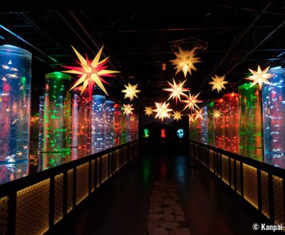 Art Aquarium Museum GINZA (Tokyo), Goldfish Corridor