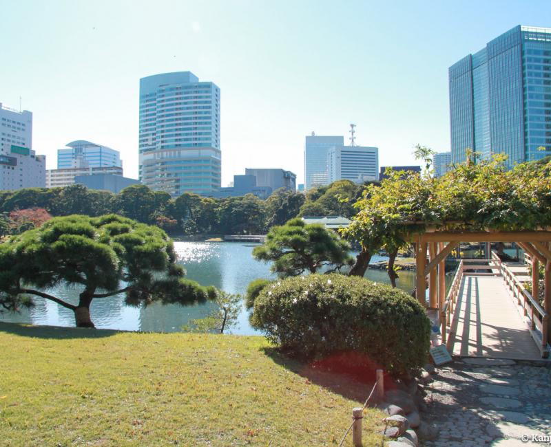 Hamarikyu - The Japanese Garden Among the Buildings of Tokyo