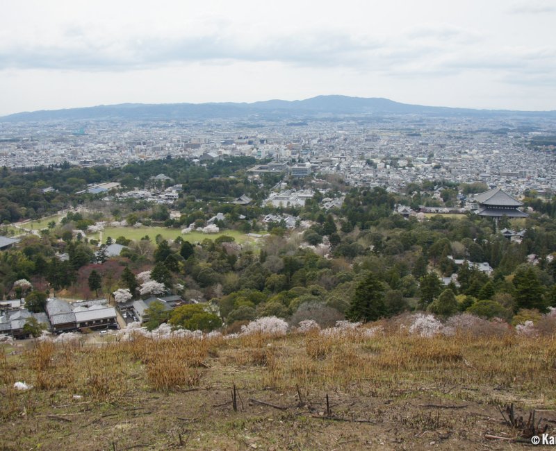 Nara, View on the city from Mount Wakakusa during the cherry blossom season Nara, View on the city from Mount Wakakusa during the cherry blossom season