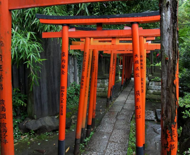 Nezu-jinja - The gorgeous shrine of Yanesen