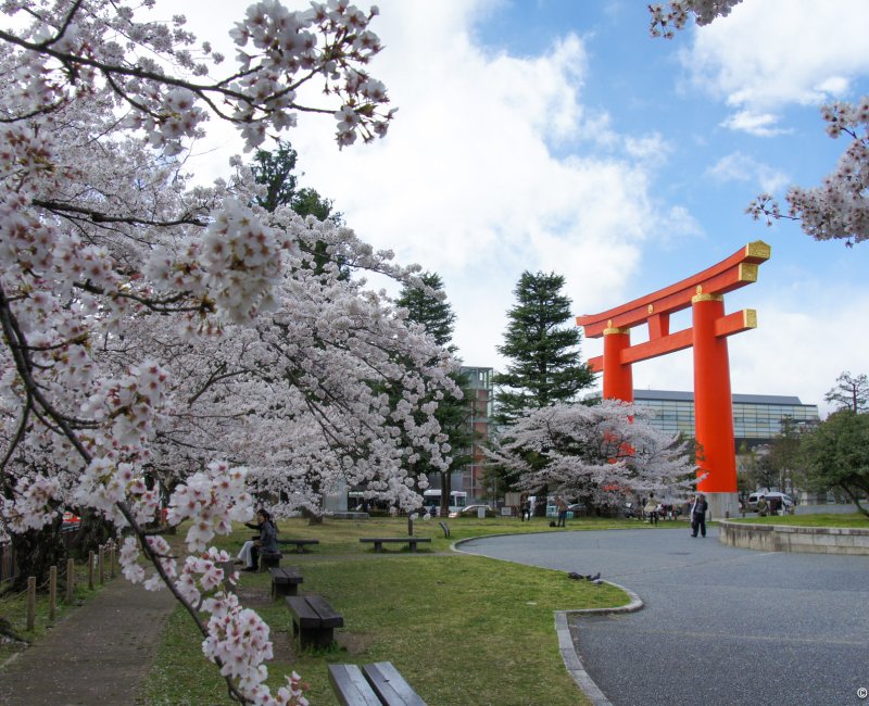 Okazaki Canal, Heian-jingu shrine great torii