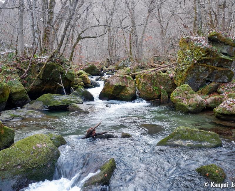 Oirase River and Gorge (Towada) Oirase River and Gorge (Towada)