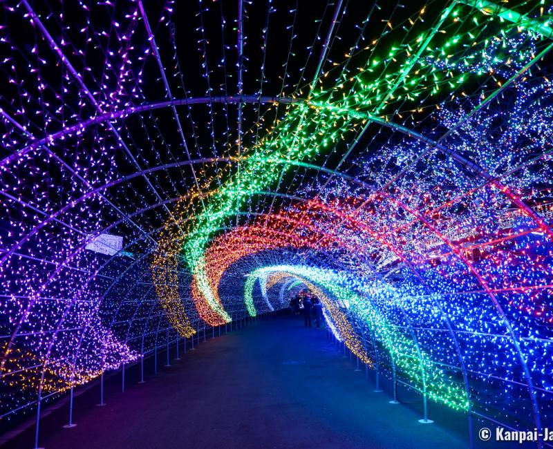 Yomiuriland - The Large Amusement Park in Tokyo’s Suburb