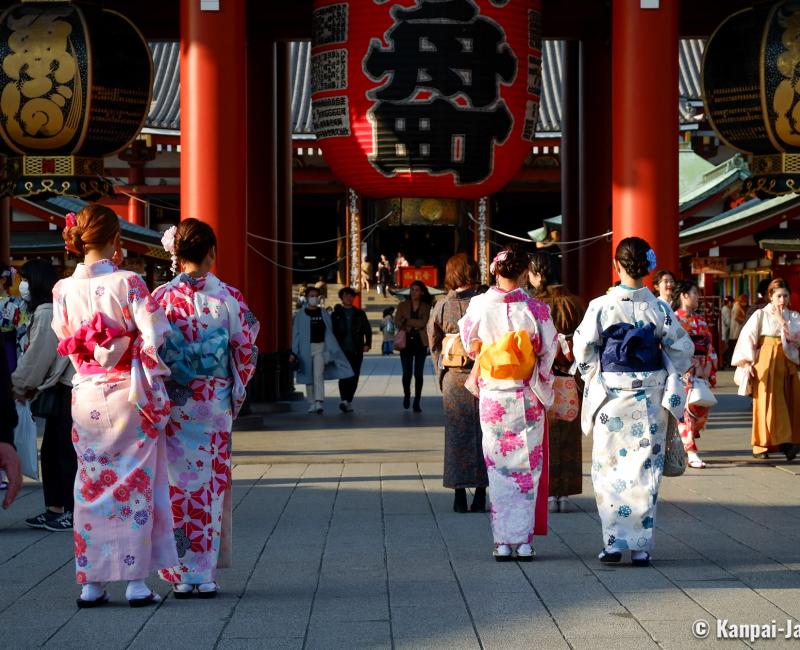 Japanese Men's Traditional Kimono HAKAMA Pants Polyester Striped Brown JAPAN