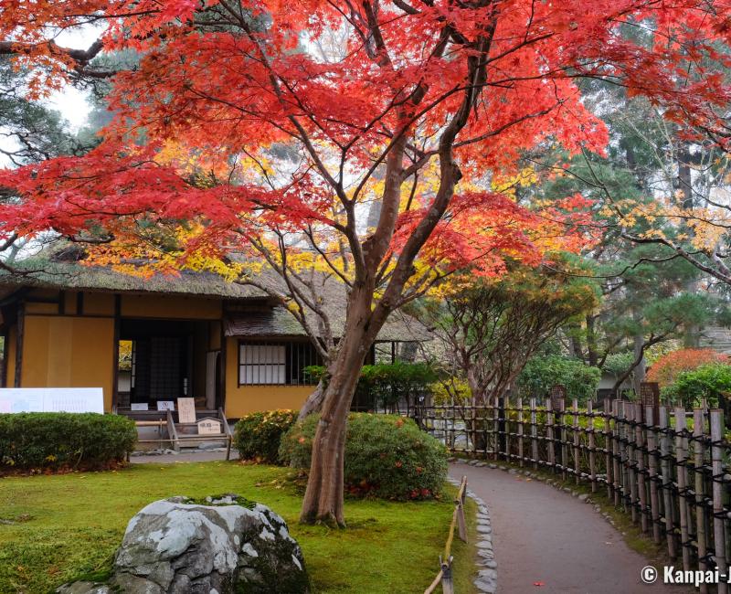 Aizu-Wakamatsu, Tsuruga Castle, Traditional teahouse Rinkaku and maple trees in November