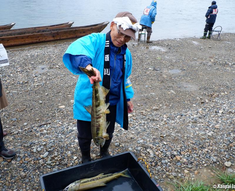 Murakami (Niigata), A fisherman and the salmons he caught on Miomote River Murakami (Niigata), A fisherman and the salmons he caught on Miomote River