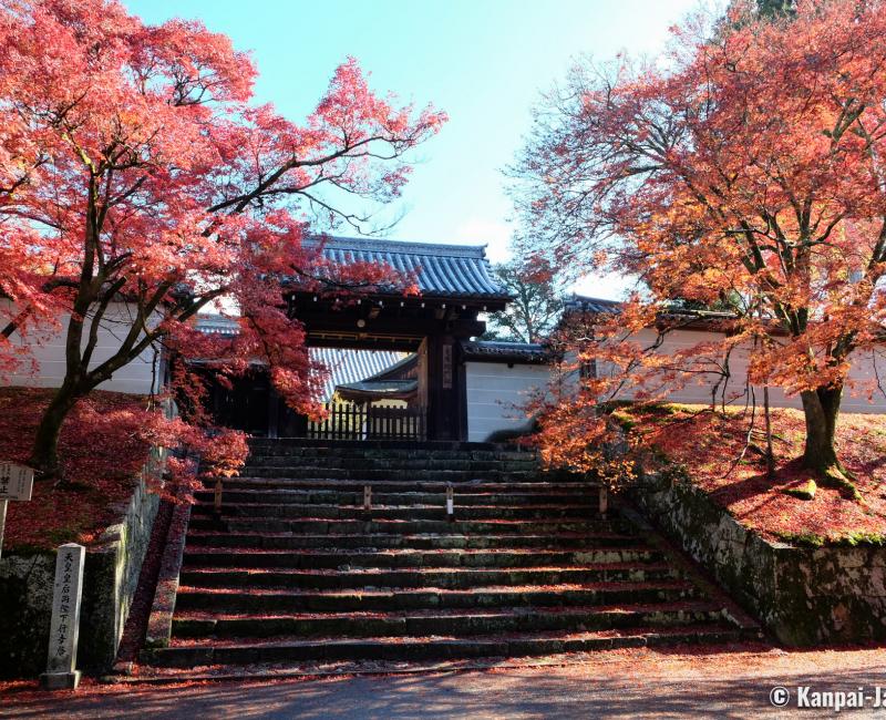 Manshu-in (Kyoto), Chokushi-mon gate in autumn Manshu-in (Kyoto), Chokushi-mon gate in autumn