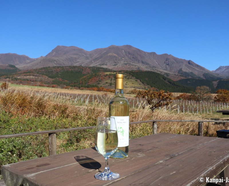 Mounts Kuju (Taketa, Oita), Kuju Winery 2 Mounts Kuju (Taketa, Oita), Kuju Winery 2