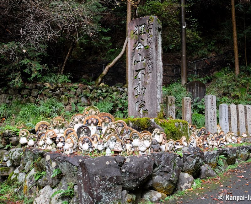 Tanukidani-san Fudo-in (Kyoto), Tanuki statues in the temple's grounds Tanukidani-san Fudo-in (Kyoto), Tanuki statues in the temple's grounds