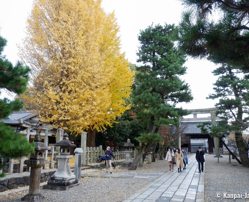 Gokonomiya-jinja (Kyoto), Paved alley of the shrine in autumn Gokonomiya-jinja (Kyoto), Paved alley of the shrine in autumn