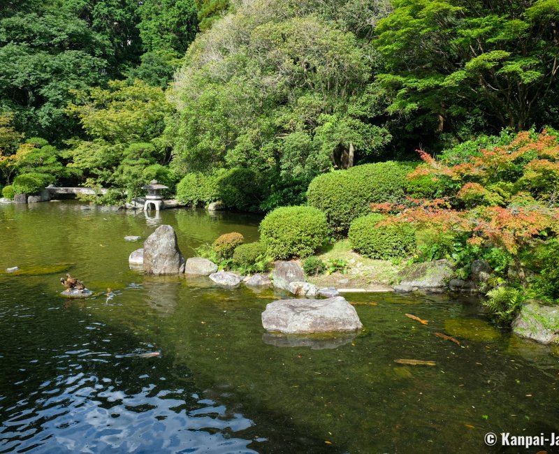 A favorite among locals- the peaceful koi pond at Fashion Island