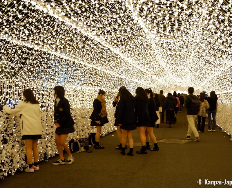 Tokyo Mega Illumination - Kanto’s Greatest Christmas Light-up