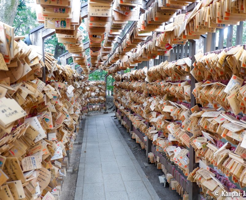 Kawagoe Hikawa-jinja, Tunnel of Ema plates at the shrine Kawagoe Hikawa-jinja, Tunnel of Ema plates at the shrine
