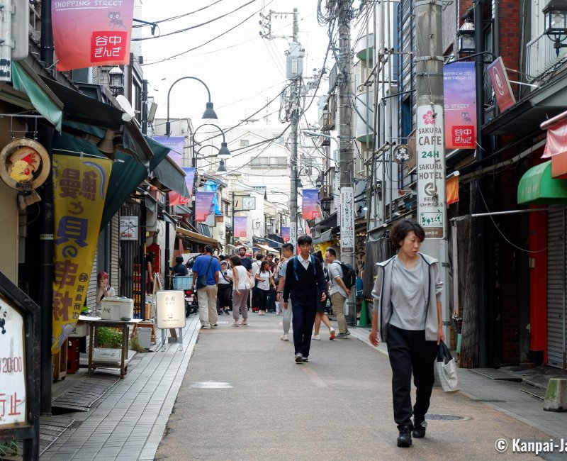Yanaka Ginza (Tokyo), Shopping street in autumn Yanaka Ginza (Tokyo), Shopping street in autumn