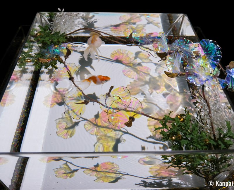Art Aquarium Museum GINZA (Tokyo), A Show of Kingyo 2 Art Aquarium Museum GINZA (Tokyo), A Show of Kingyo 2