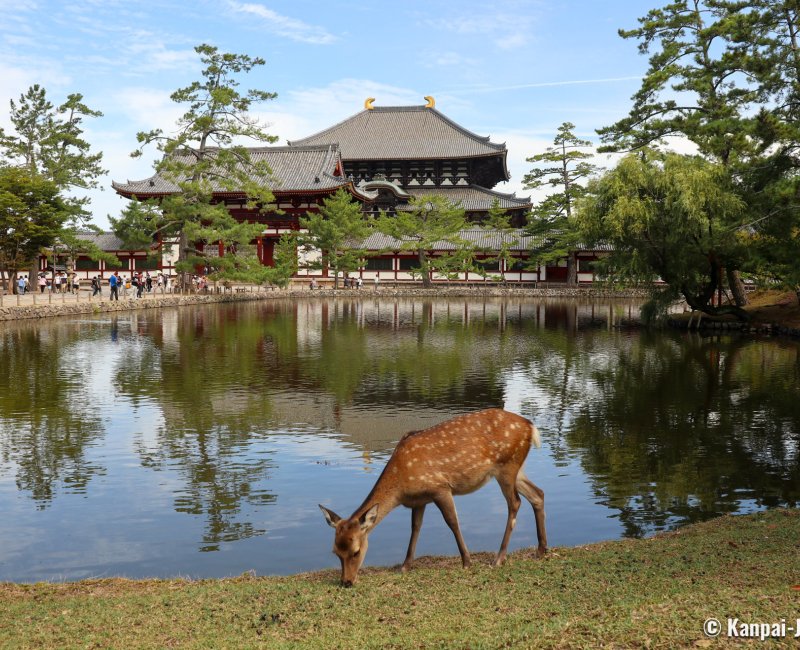 Nara, Kagami-ike pond in front of the Todai-ji building home to the Great Buddha statue Nara, Kagami-ike pond in front of the Todai-ji building home to the Great Buddha statue