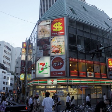 Neko cafe  A cat  experience in Japan