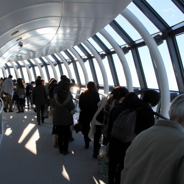 Tokyo SkyTree - The highest tower in Japan