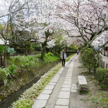 Philosopher's Path - Kyoto's Zen Walk