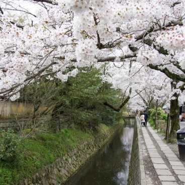 Philosopher's Path - Kyoto's Zen Walk