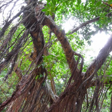 Shikina-en - Okinawa’s Japanese Gardens