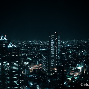 Tokyo Metropolitan Government Building - Shinjuku's Twin Towers Observatory