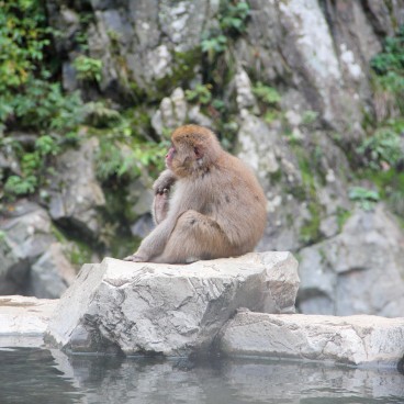 Japanese Alps - Beautiful excursions in the Japanese mountains