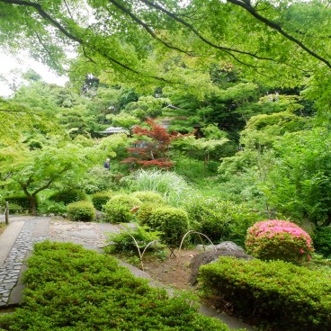 Nezu Museum - Elegant marriage of art and nature