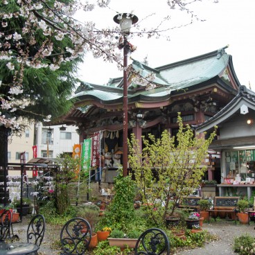 Imado Jinja A Small Shrine For Soulmates And Cat Souls