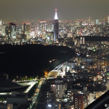 Shibuya Sky - Scramble Square Tower’s Outdoor Observation Deck