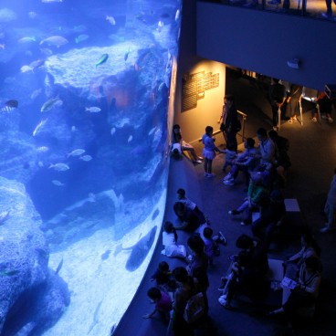 Sumida Aquarium - Tokyo SkyTree’s Marine Exhibit