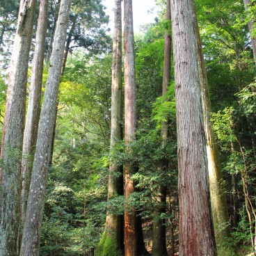 Ohara - The Tendai Buddhism pilgrimage in the North of Kyoto