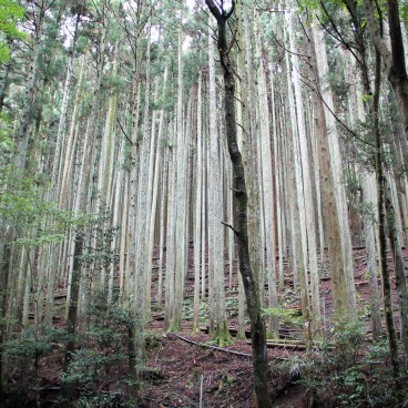 Ohara - The Tendai Buddhism pilgrimage in the North of Kyoto