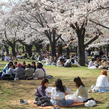 Cleanliness in Japan