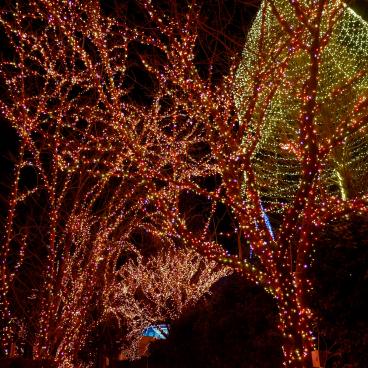 Yomiuriland - The Large Amusement Park in Tokyo’s Suburb