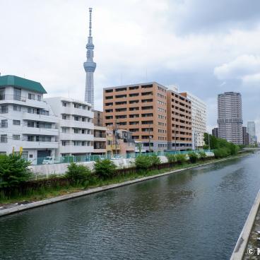 Koto - Downtown Tokyo on the Bay