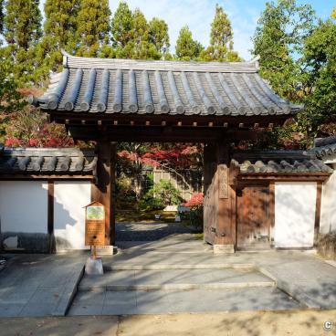 Koko-en - Himeji Castle’s Japanese Garden