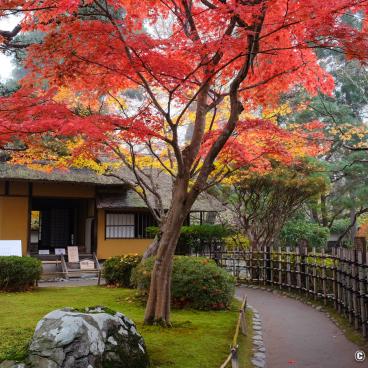 Aizu-Wakamatsu - The Castle Town of the Samurai Era in Fukushima