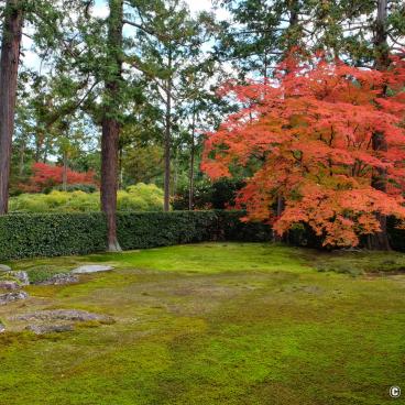 Entsu-ji - The Shakkei Garden Borrowing Mount Hiei in Kyoto