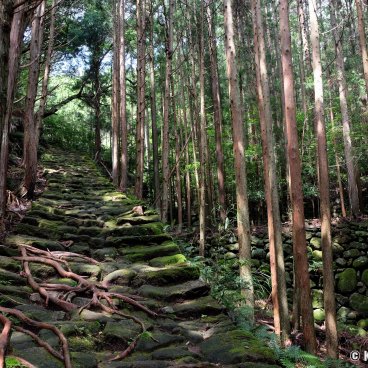 Kumano - The Picturesque Stopover Town on the Iseji Route