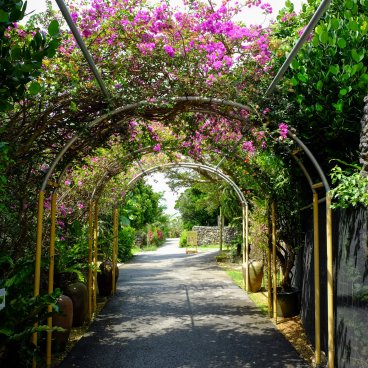 Yaimamura - The Traditional Monkey Village of Ishigaki