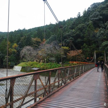 Kawayu Onsen Fujiya (Review) - Hot Baths by the River in Tanabe