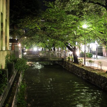 Kiyamachi-dori - Kyoto Cherry Trees Along The Takase River