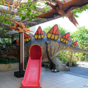 Amusement Theme Park Stegosaurus Dinosaur Slide