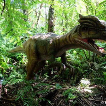 Dino Park - Dinosaurs’ Forest in Yanbaru