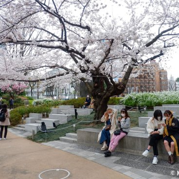 Roppongi Hills - The 2000s’ Iconic Urban Complex in Tokyo