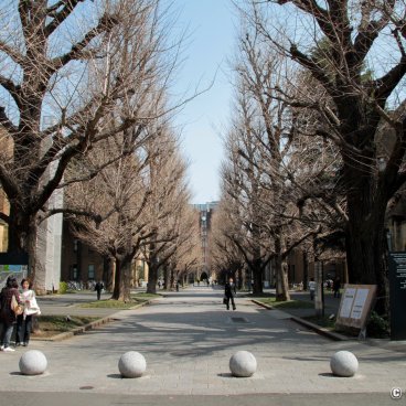 Todai - The University Of Tokyo