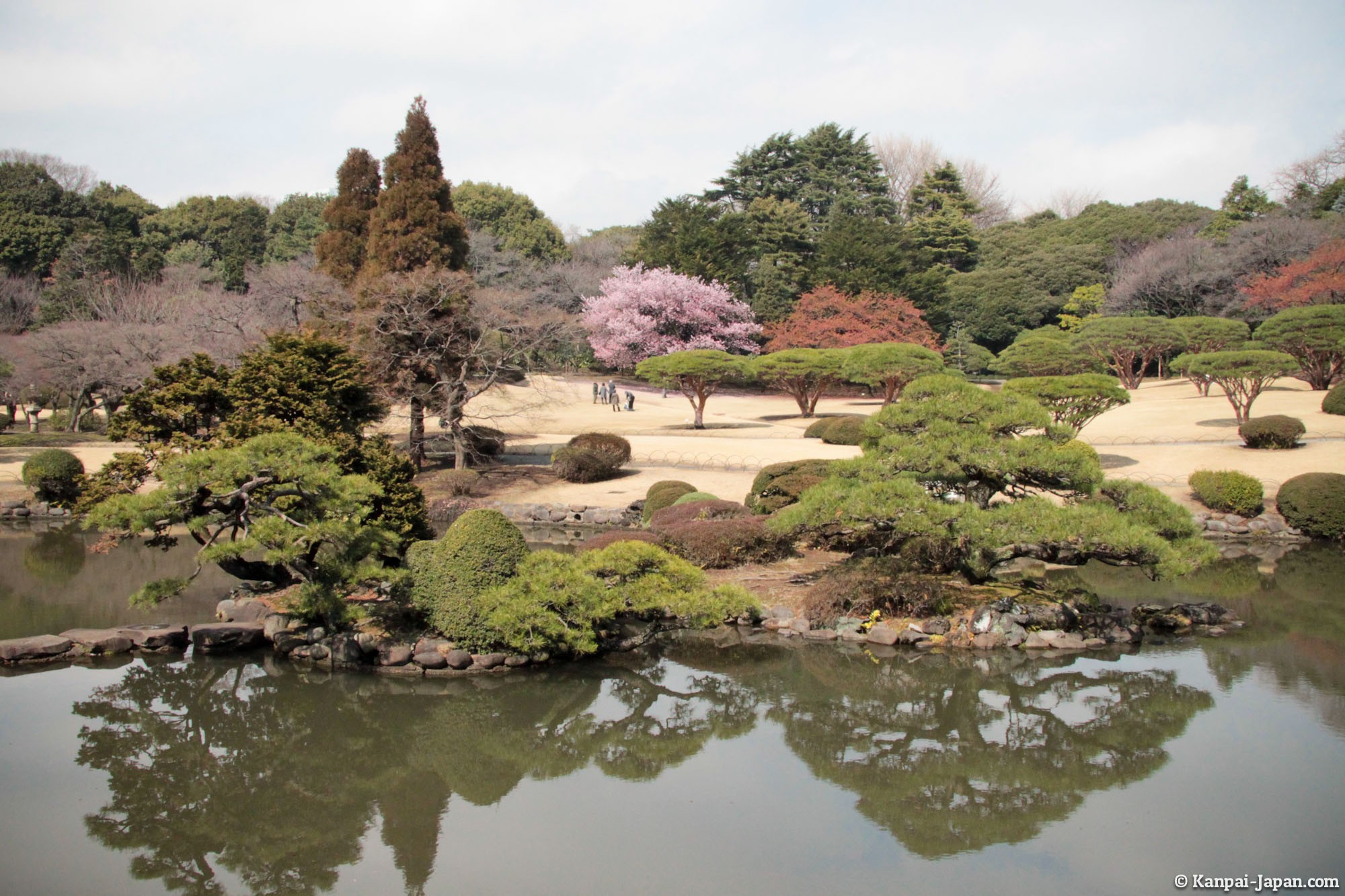  Shinjuku Gyoen  Tokyo s national imperial garden